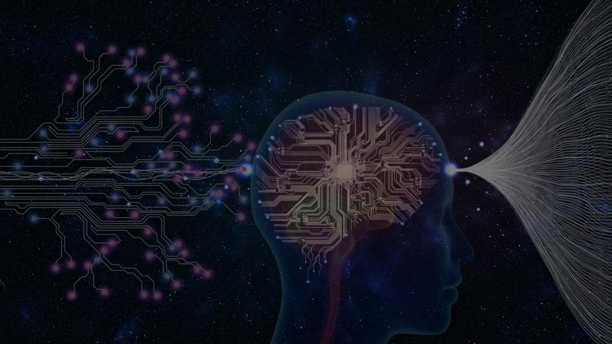 brain_map